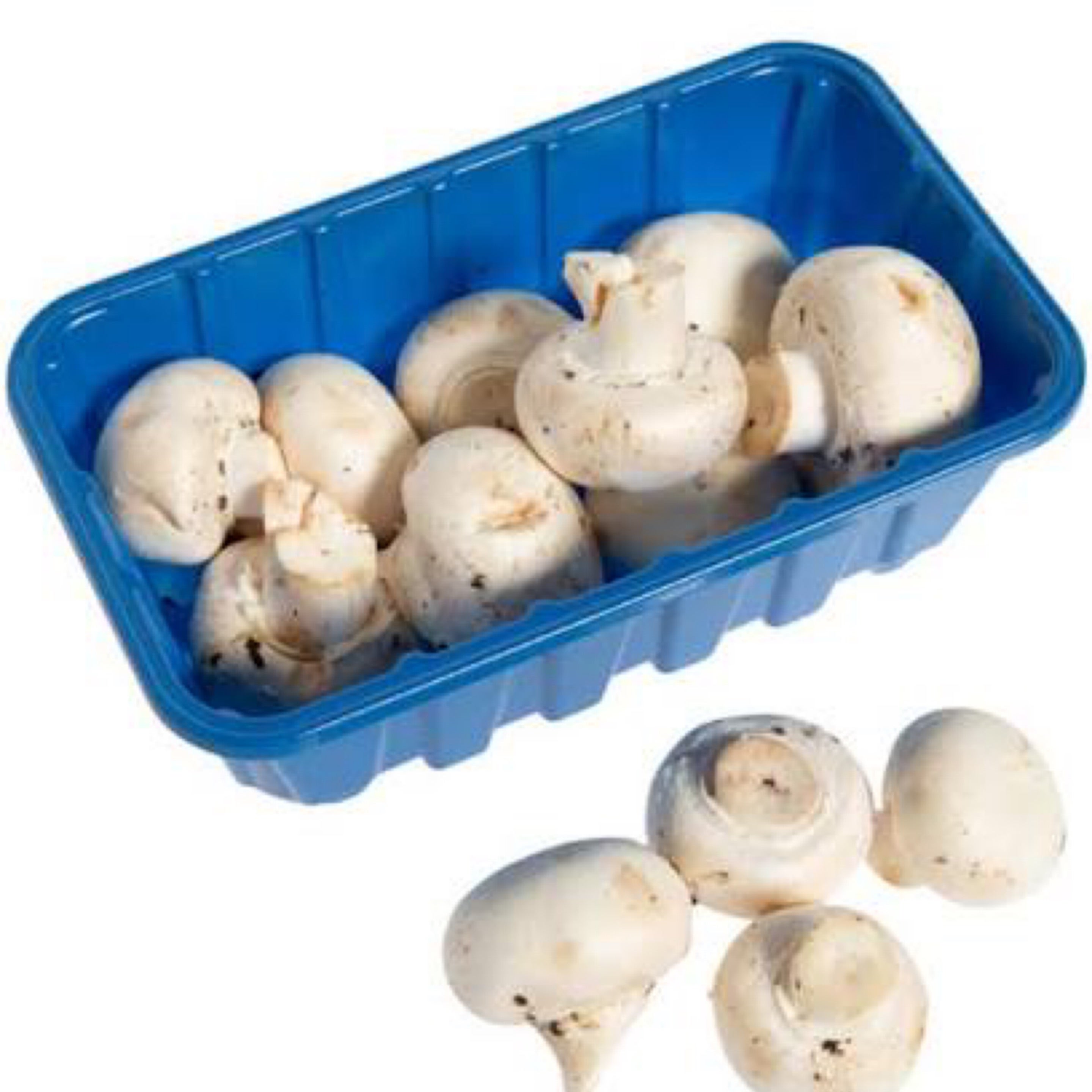 Fresh Mashroom 1lb (O) | Metro Spice Mart